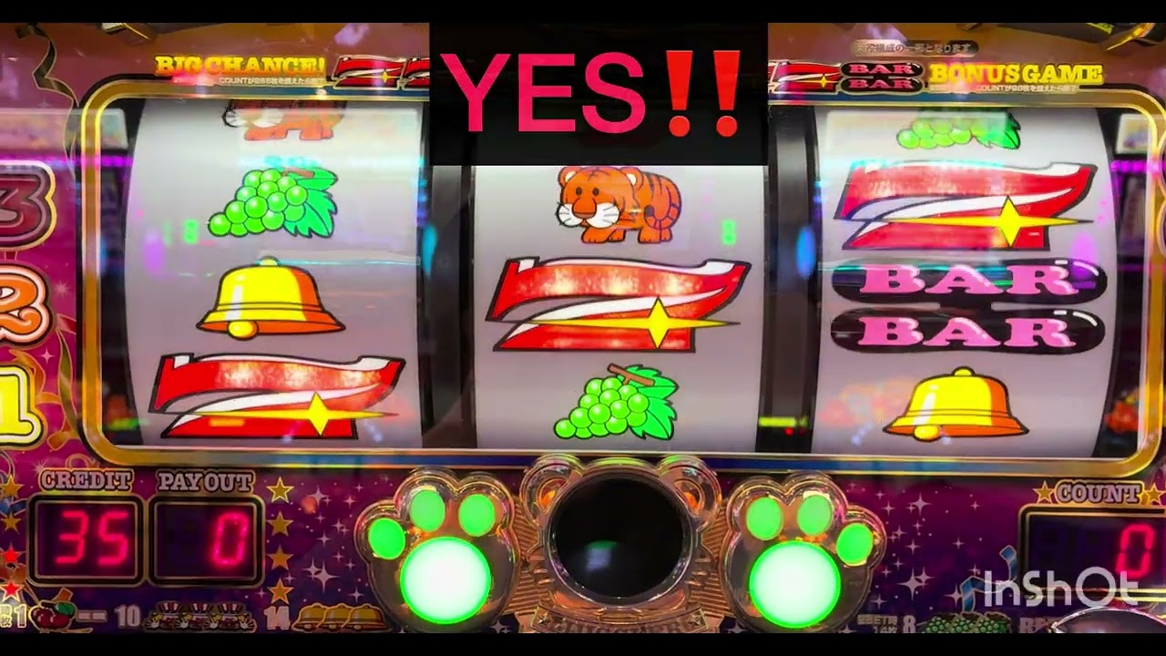投資13000円　#マ…マイジャグラーで勝負‼️結果は後ほど🙃