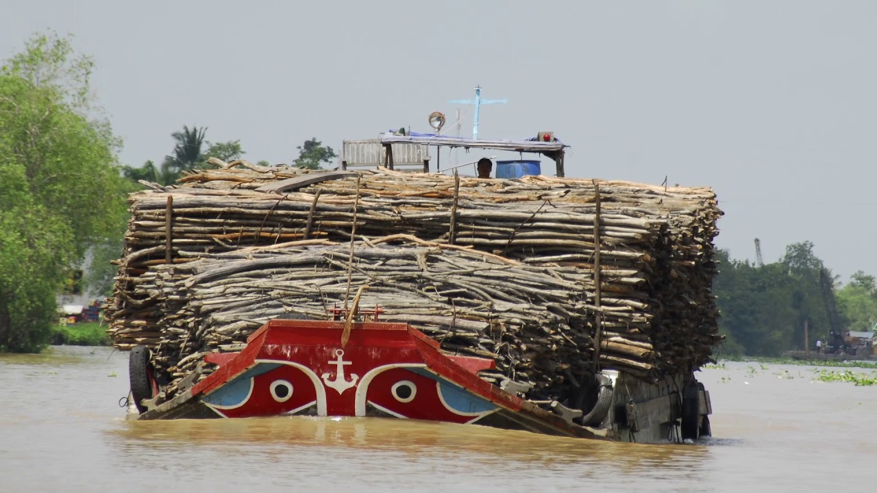 Đường Việt Nam - St: Nguyễn Đức Quang - Du Ca Phù Sa hợp ca năm 2020