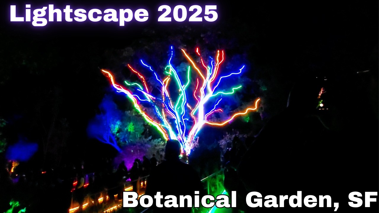 Волшебное зрелище! | Lightscape 2025, Сан-Франциско