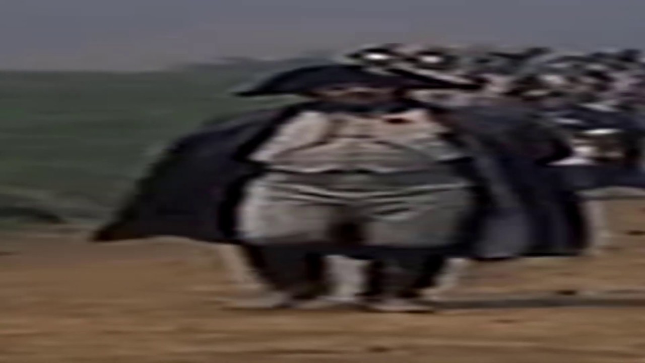 WIDE Napoleon will Eat your Nation