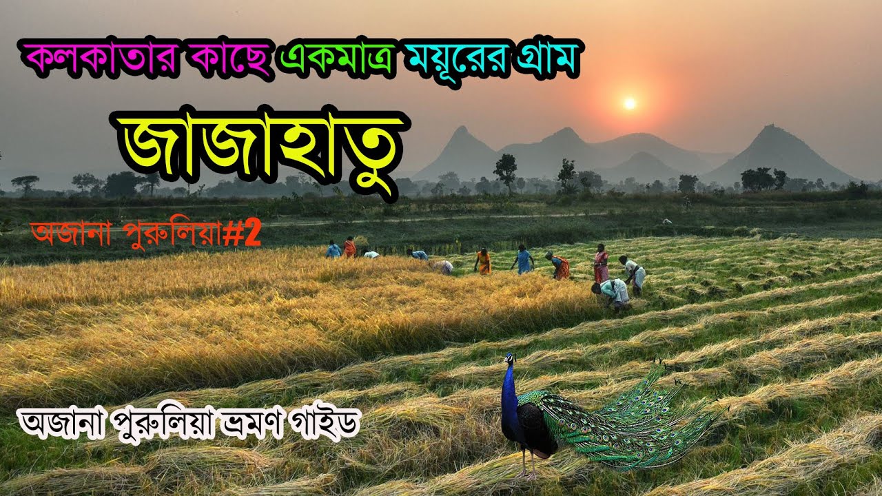 Part-2 | এখানে ময়ূরের ডিম গ্রামের বাড়িতে বসে তা দেয় মুরগী । অজানা পুরুলিয়ার ভিডিও ।Jajahatu| Purulia