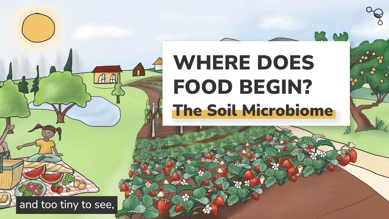 World Soil Day: Where Food Begins!