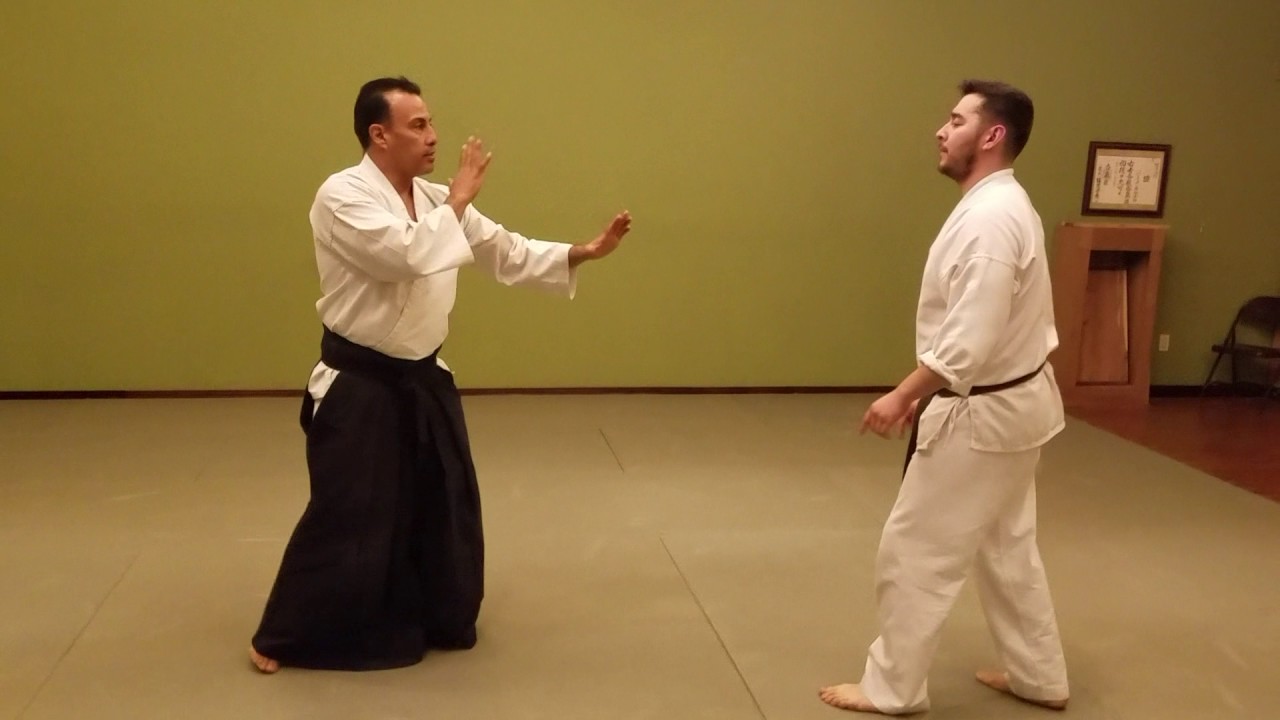 Tenshin dojo utilizing hand placement and ukemi with Aikido