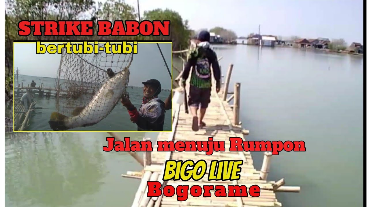 JEMBATAN menuju RUMPON Pak Ndun Part 2 @jaytawonpetualang #kakapputihbabon #mancing