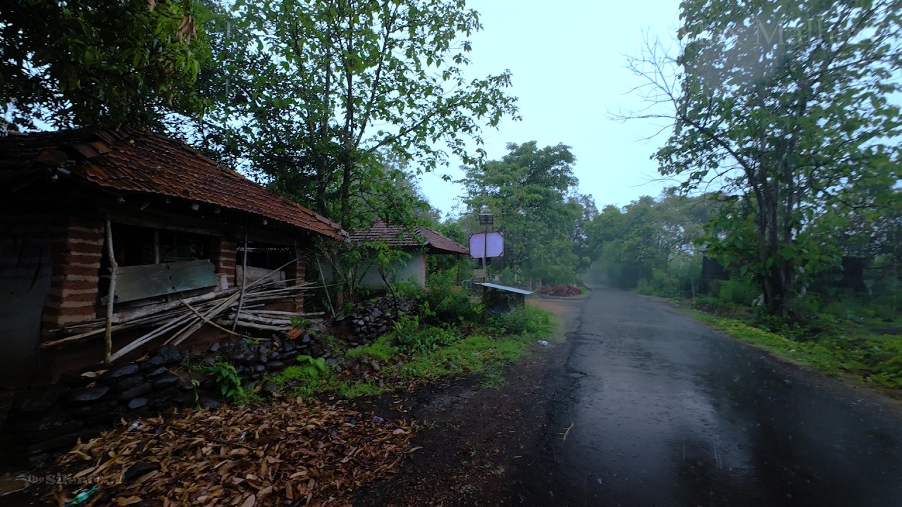 Monsoon Frist Rain Walk - Konkan