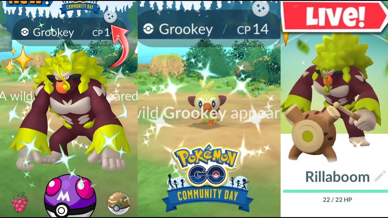 Hunting✨️Shundo Rillaboom On Community Day In #PokemonGo