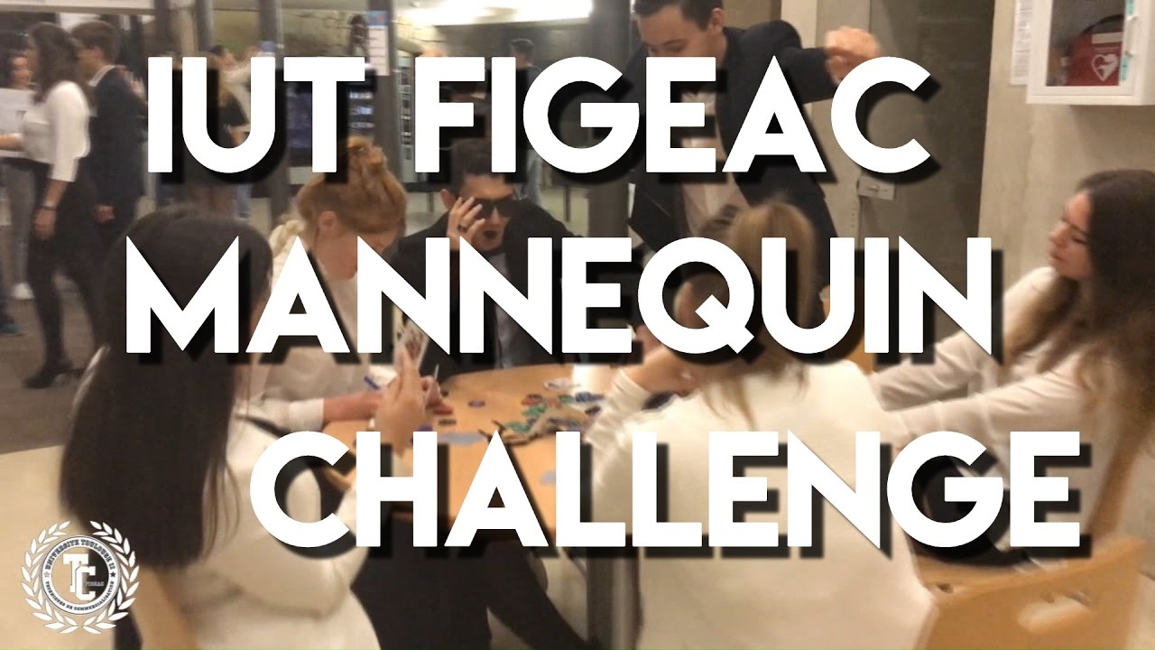 Mannequin Challenge by TC Figeac