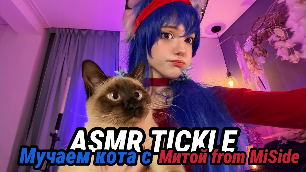 Яндере Мита напала на кота