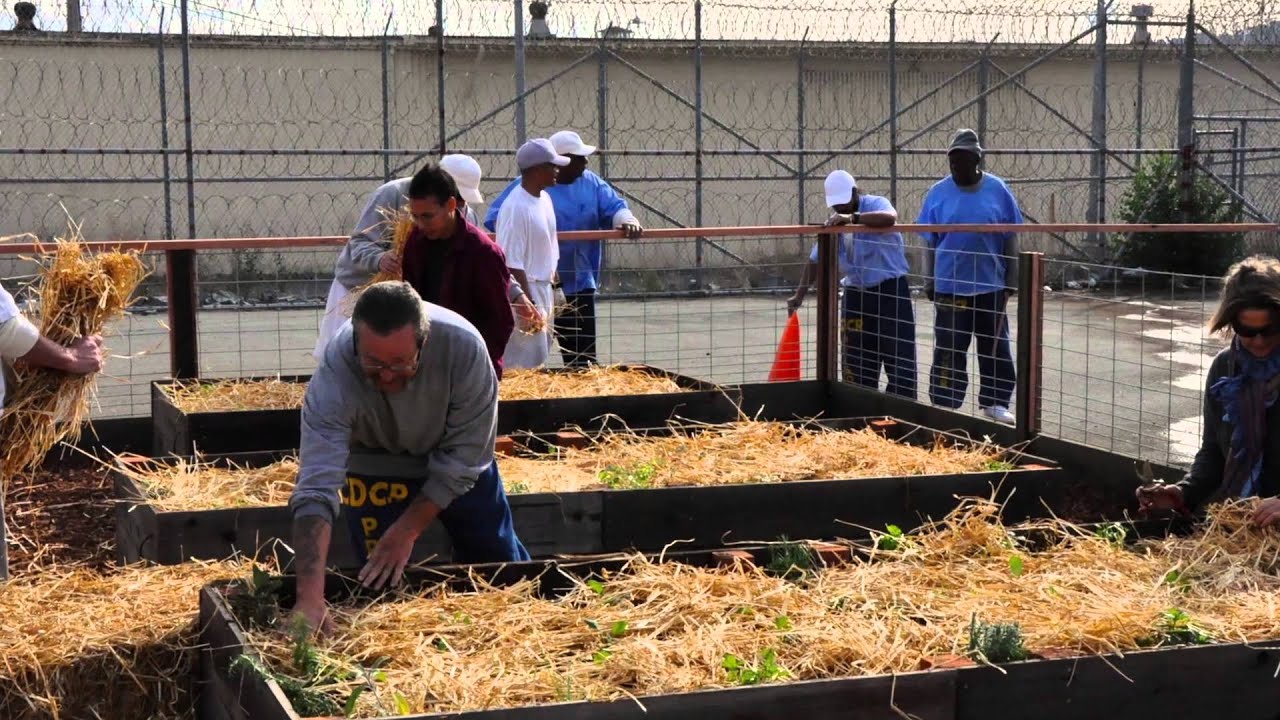 The Insight Garden Program's Vegetable Garden at San Quentin State Prison