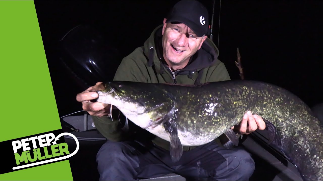 Welsangeln in der Heimat - Neue Stellen erkunden #waller  #fishing  #angeln