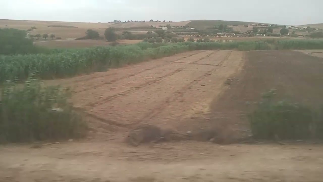 رحلة من رأس العين في اتجاه موالين الواد عبر القطار امزاب الشاوية إقليم السطات