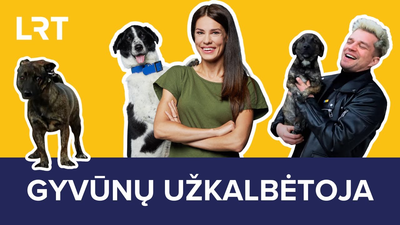 Gyvūnų užkalbėtoja. Kodėl Jono Nainio šuo Bruno lauke nekreipia dėmesio į savo šeimininką?