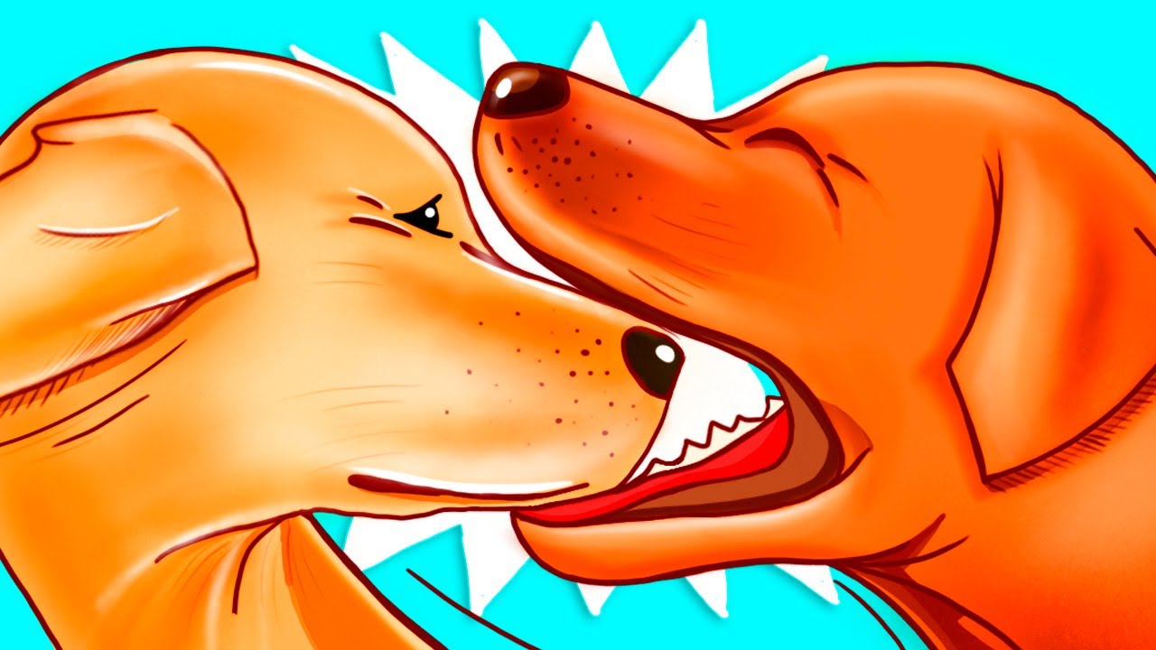 Why Dogs Bite Each Other's Mouths When Playing