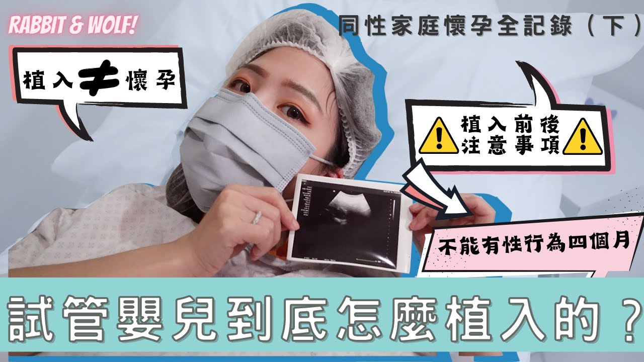 【小兔狼來了EP.12】試管嬰兒到底怎麼植入的？｜試管植入全記錄｜植入不等於懷孕！｜植入胚胎後兩週驗孕揭曉答案｜兔女狼