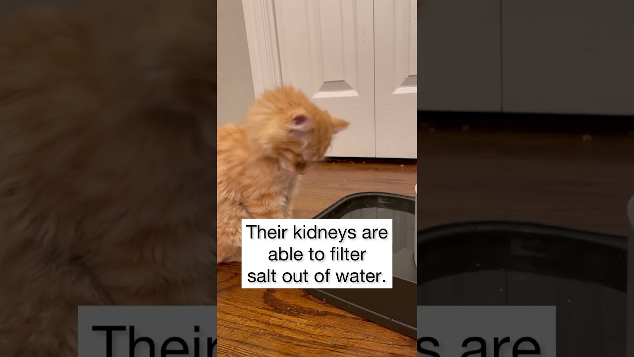 Fun Fact Friday! 