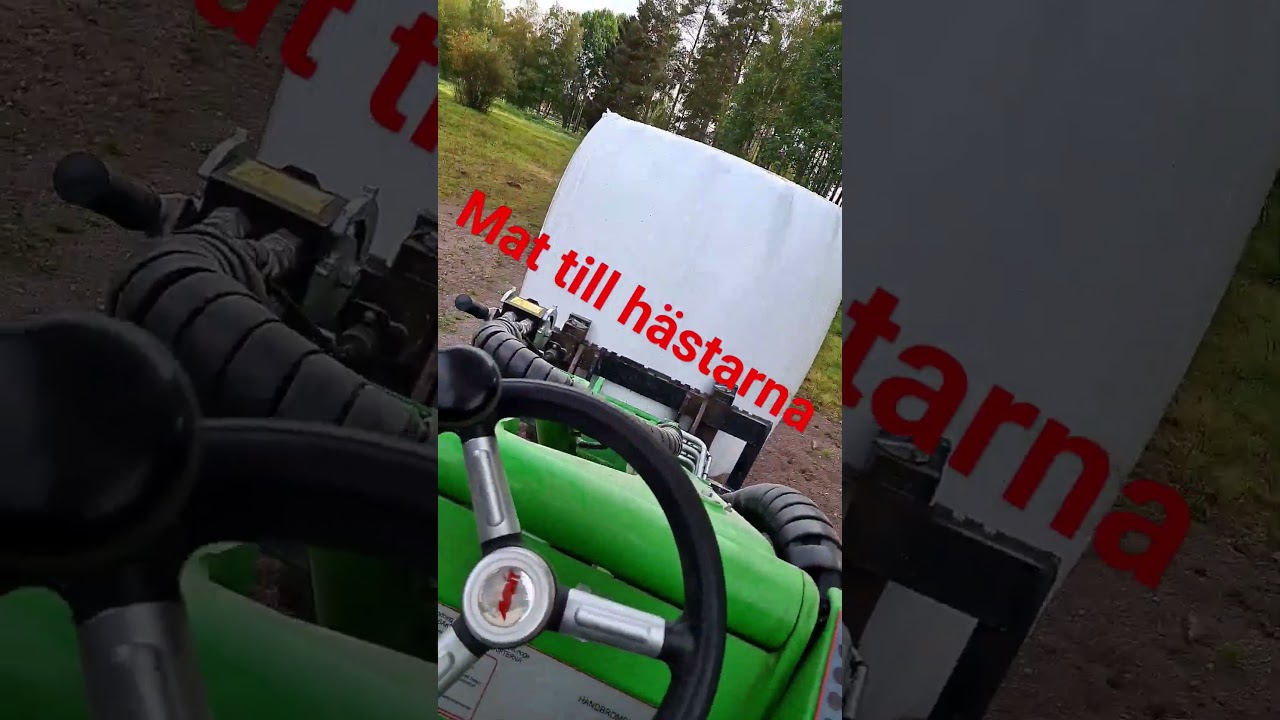Dags f&ouml;r litte mat till h&auml;starna trevlig helg f&aring;r DANNE'S MEDIA