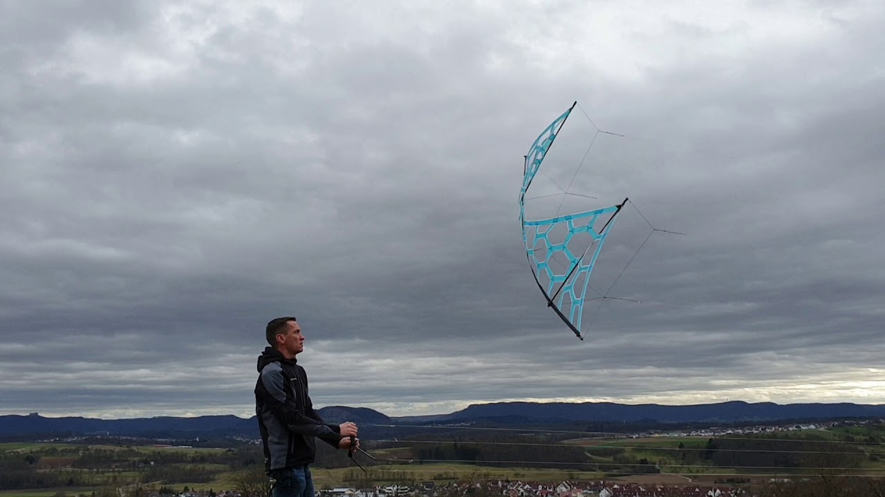 DalliDalli String Kite #dogstake #dallidalli