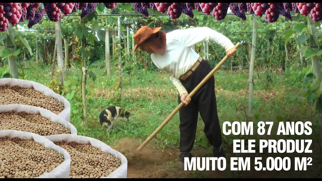 CHÁCARA MUITO PRODUTIVA COM APENAS 5000m²