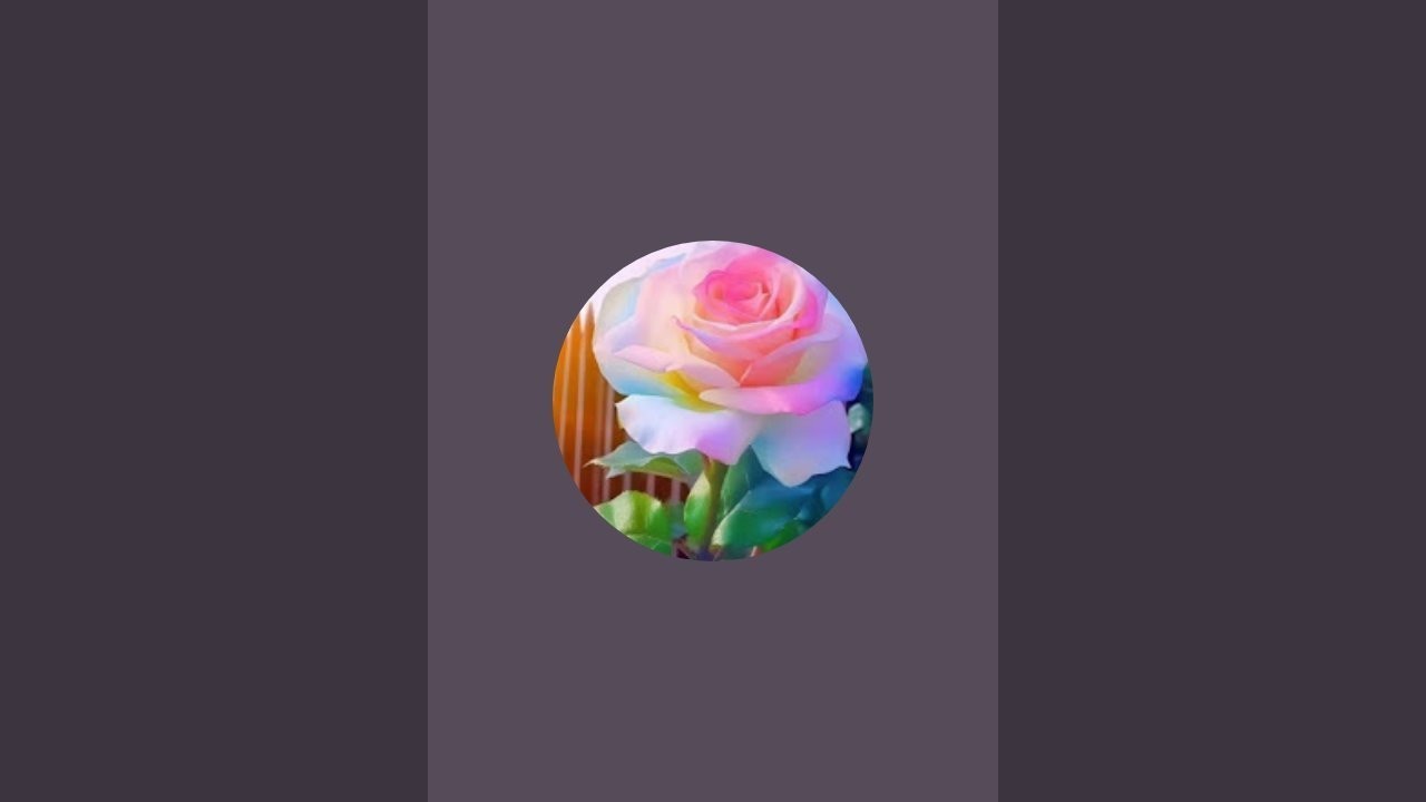 Lakshmi  is live நலம் பெற வேண்டும் நீ என்று 🤝💞