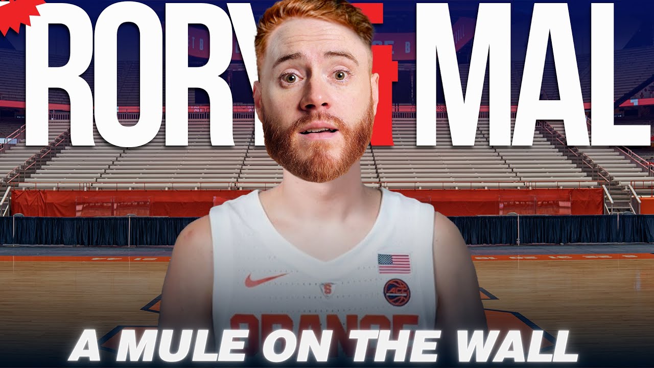 A Mule On The Wall | Episode 255 | NEW RORY & MAL