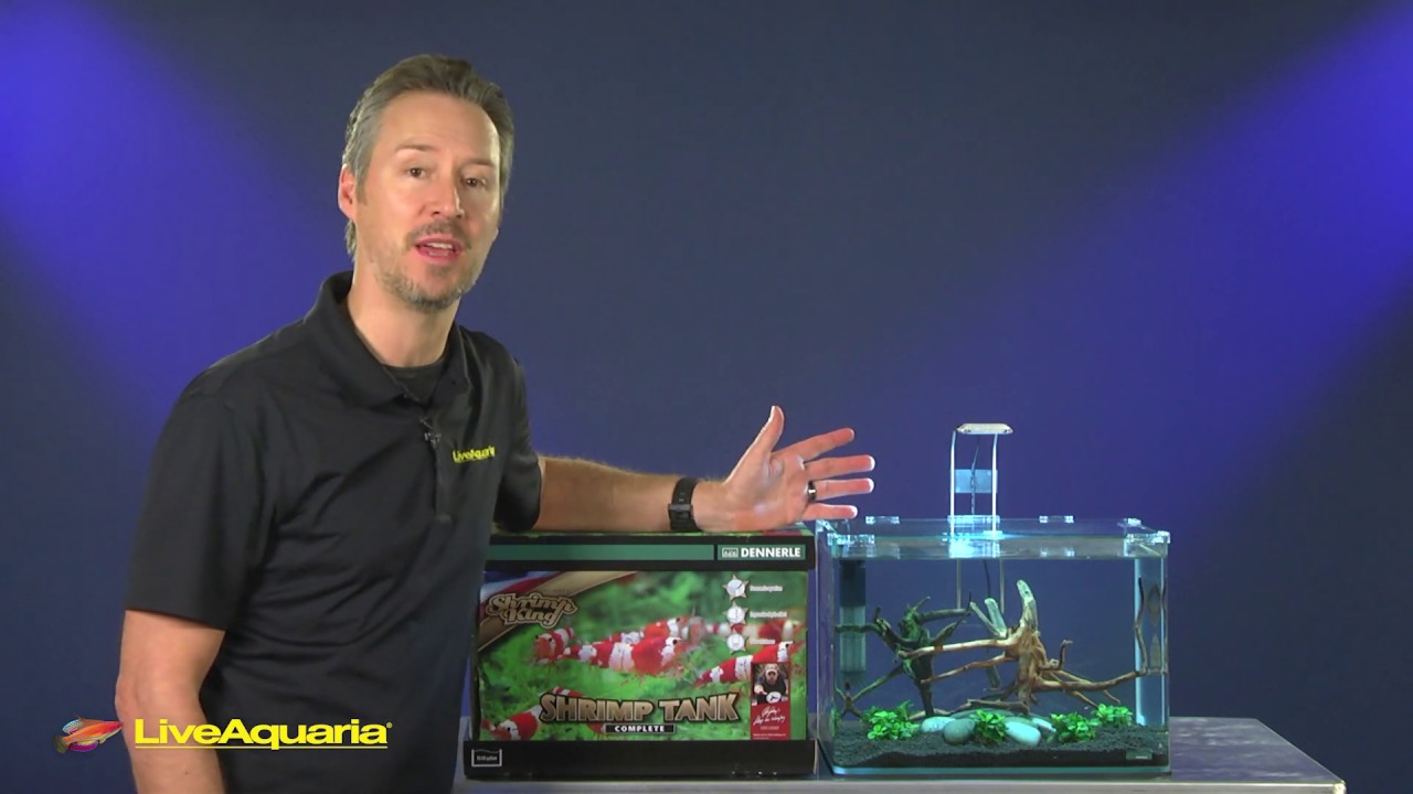 LiveAquaria&reg; Diver&rsquo;s Den&reg; Aquatic Insider: Dennerle Chris Lukhaup's Shrimp King Shrimp Tank