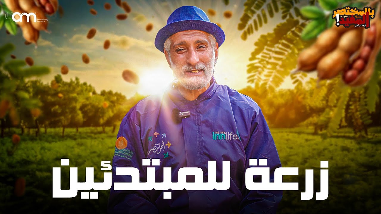 أسهل زرعة ممكن تزرعها في البيت - التمر هندي ( لا تحتاج لرعاية أو عناية خاصة )