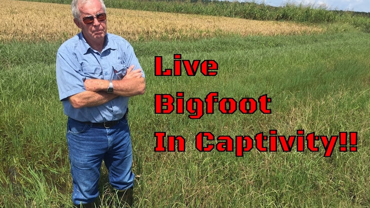 PAYING TO SEE A CAPTIVE LIVE BIGFOOT!! #Bigfoot #sasquatch