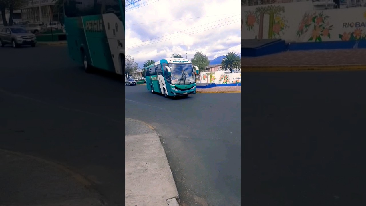 💚🇪🇨Ecuador | Riobamba 2024 | Bus Patria № 38 | #music #bus #viajes #ecuador #riobamba