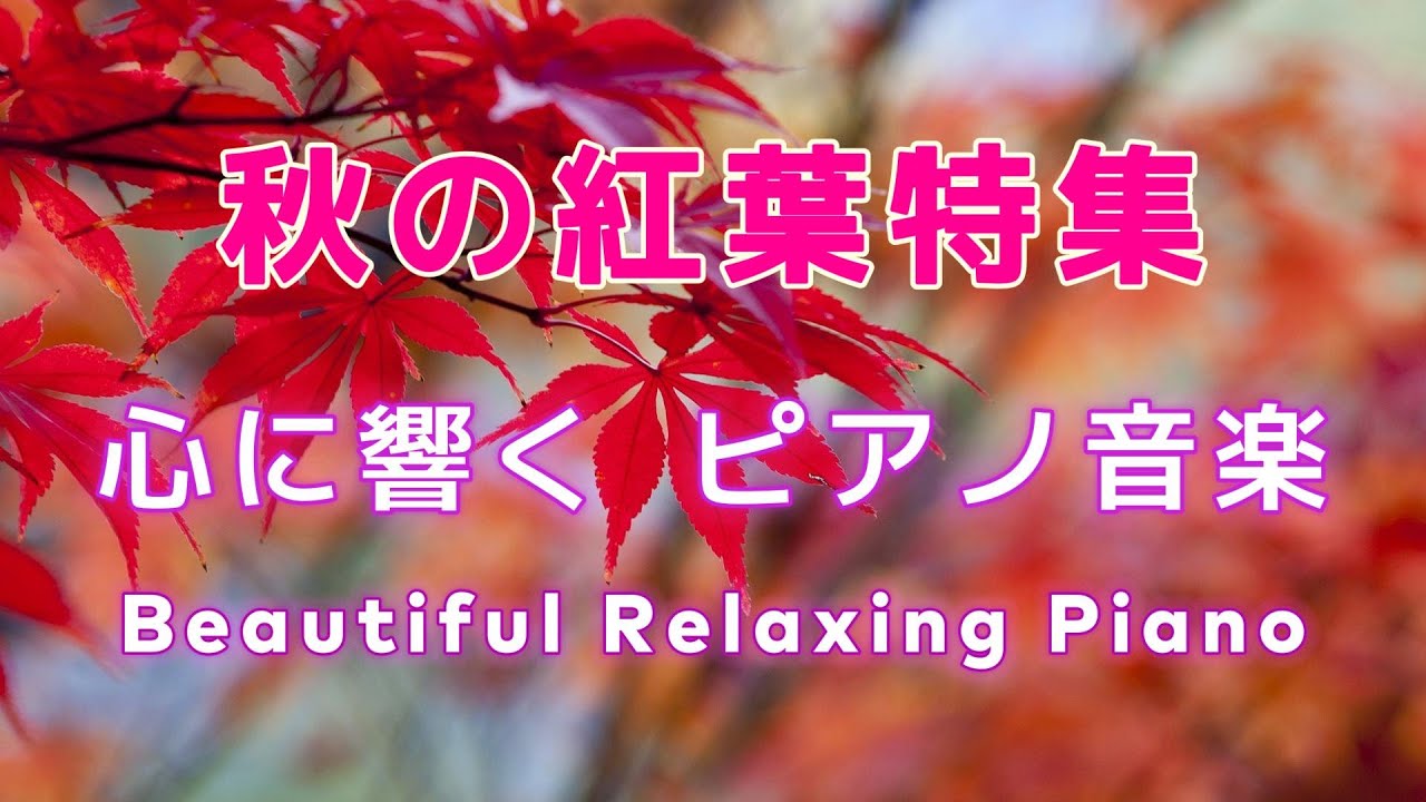 【BGM】🍁秋の紅葉特集🍁秋を彩るリラックス・癒しピアノ音楽🍁心に響く優しい旋律🍁 #リラックス #癒し #ヒーリング