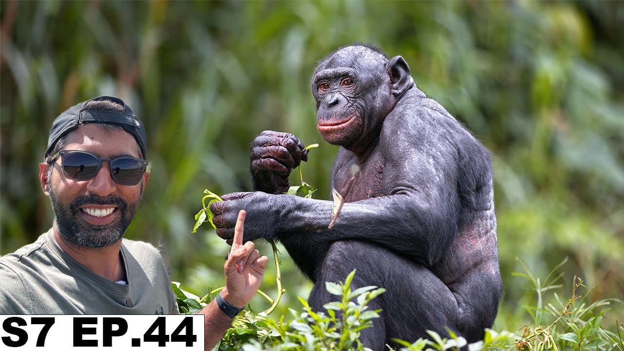 370$ For Two Chimpanzees in Gombe National Park Tanzania S7 EP.44 | Pakistan to South Africa