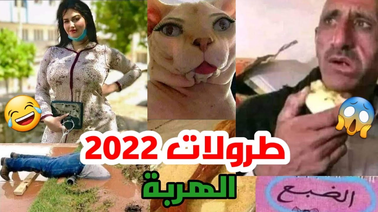 fokaha maroc 2022|مونتاج الهربة|طرولات |نكت|troll maroc|ضحك حتى الموت|فكاهة مغربية|المغرب الجزائر