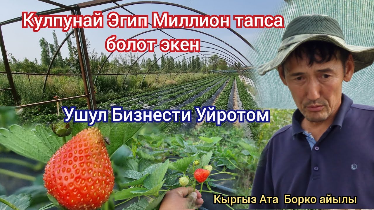 КУЛПУНАЙ Бизнес Баштап МЛНЕР болсо болот Бакыт акеден толук МААЛЫМАТ алыңыз