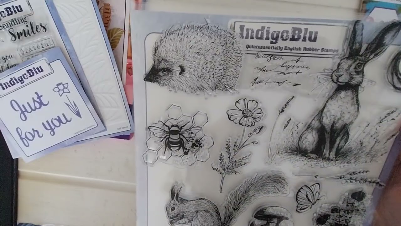 IndigoBlu box magazine, what you get.