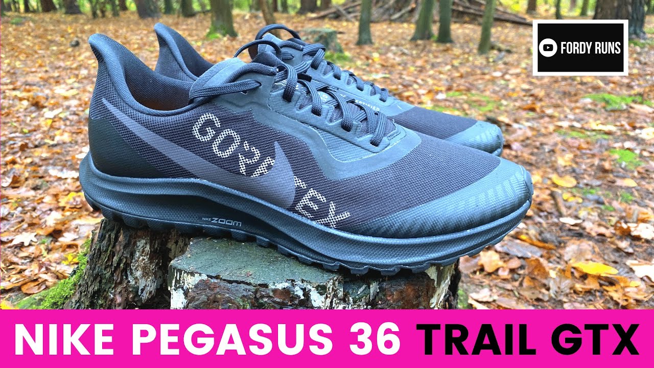 Nike Pegasus 36 Trail GTX