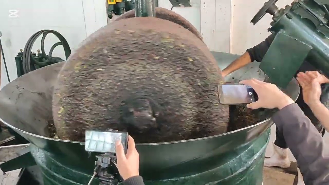 La trituration des olives dans une huilerie traditionnelle modernisée