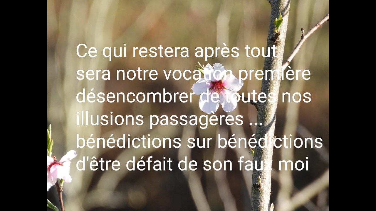 CE QUI RESTERA DE NOUS APRES TOUT EST NOTRE VOCATION PREMIÈRE...