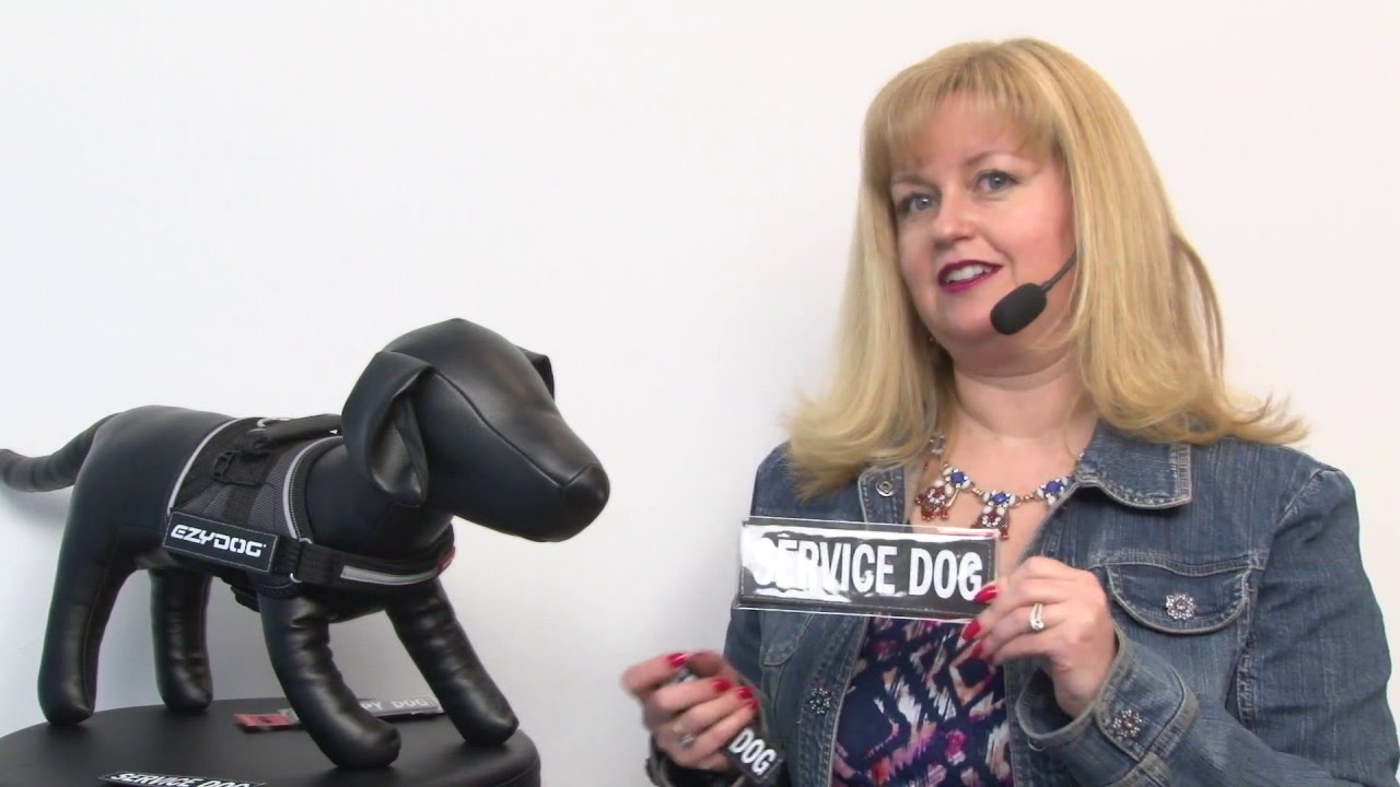 EzyDog Custom Side Patches for Convert Harness - Service Dog