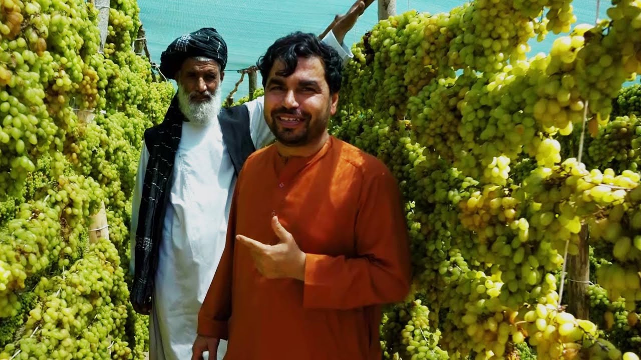 Watan Me - Visiting Shakar Dara in Kabul | وطن می- د مميزو توليداتي سړې خونو څخه ليدنه