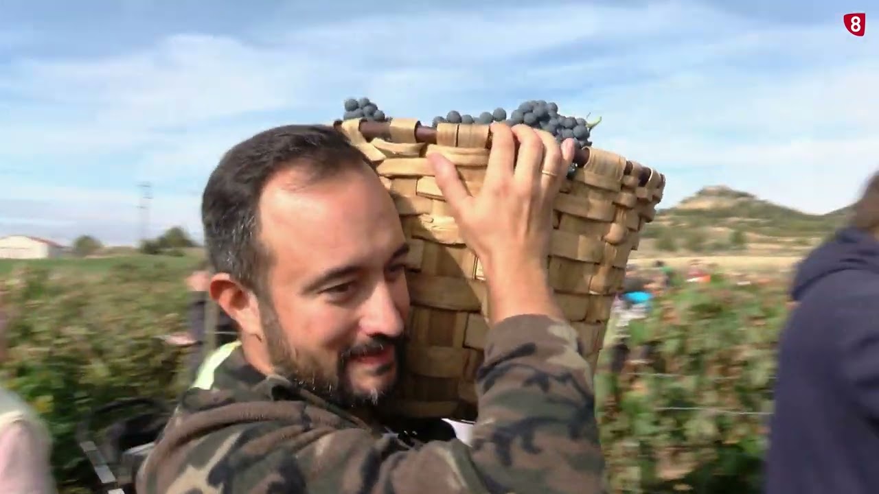 LANGA DE DUERO CELEBRA SUS XXVI JORNADAS DE LA VENDIMIA / 8 MAGAZINE SORIA