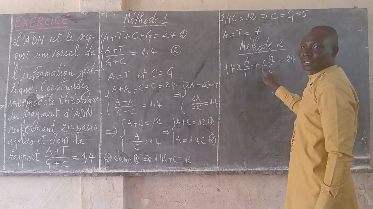 CALCUL DU NOMBRE DE BASES AZOTÉES/CONSTRUCTION DE L'ADN