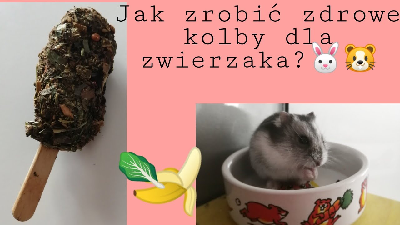 Zdrowe kolby dla gryzoni i królików🐹🐰 Zrób to sam❤️