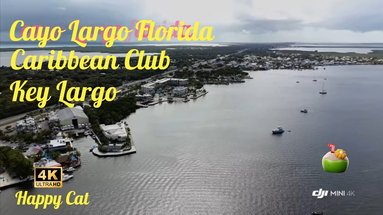 Long Key in Florida #beautiful #Florida #Followme #Citypark #nature #keyshighway #dronevideos 