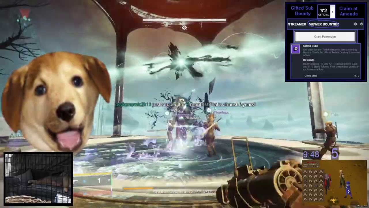 Last Wish in Common (white rarity) Gear