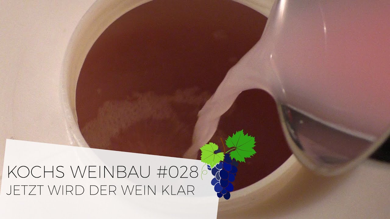 Jetzt wird der Wein klar |  #028