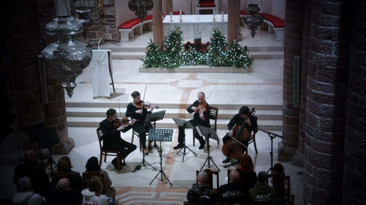 Corelli - Concerto Grosso 'Fatto per la Notte di Natale' (op.6 no.8) || Camerata Herceg Novi