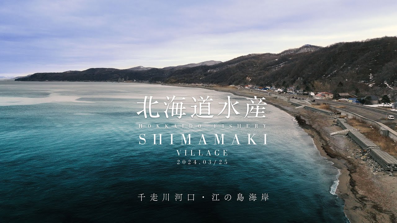 3月25日 北海道島牧村 千走川河口・江の島海岸 空撮 海サクラマス
