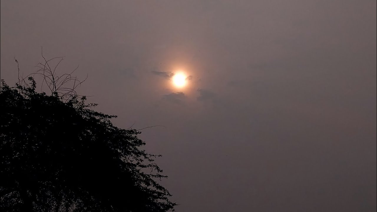 Vilege vlogs ✨️ 💖 