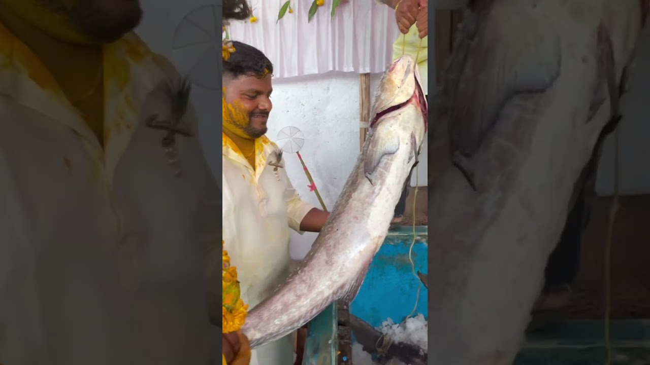 Kolihaldhi Special Fish Sakla Masa😍❤️#shorts #koli #fish