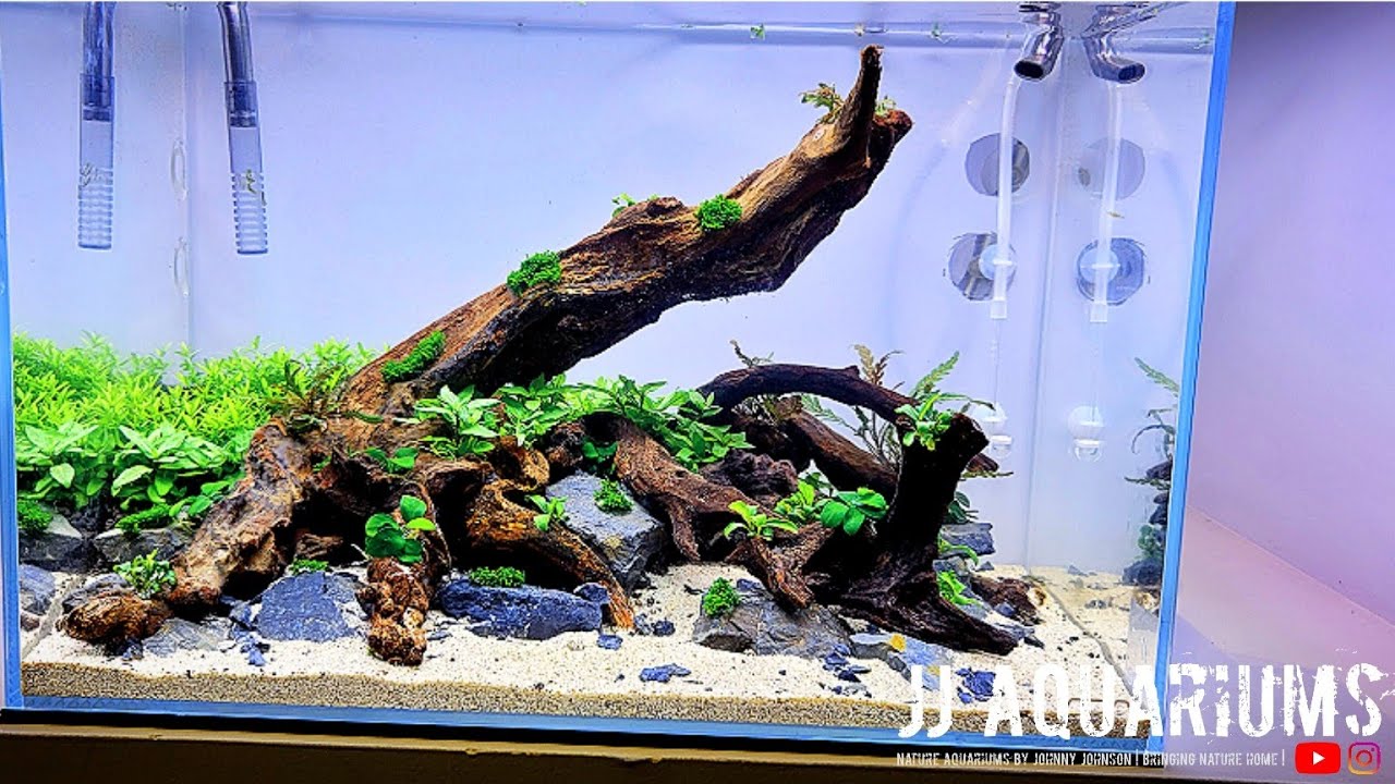 Filling The ADA 45P Planted Aquarium