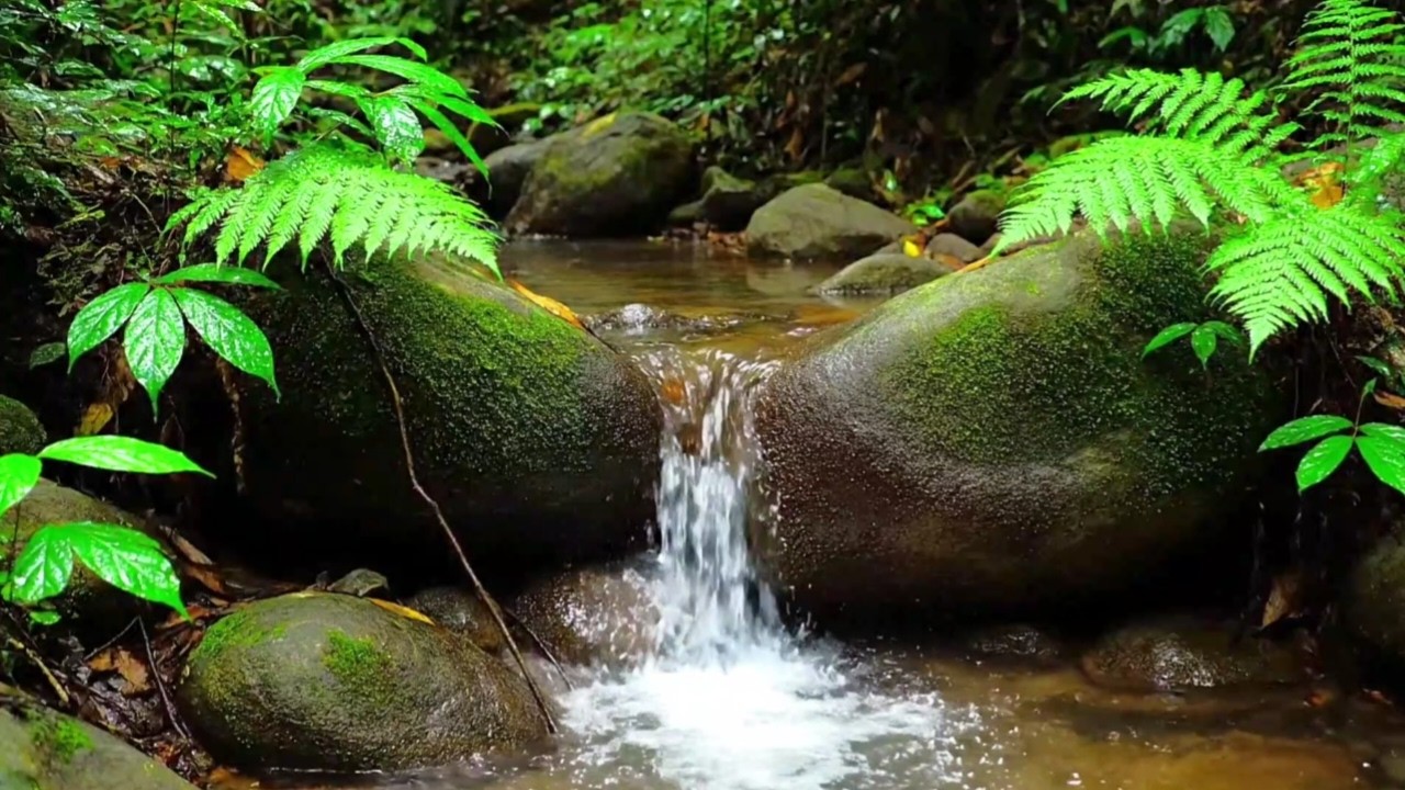 PEACEFUL RIVER WATER SOUNDS FOR DEEP SLEEP, STUDY, RELAXATION AND INSOMNIA RECOVERY NIGHT